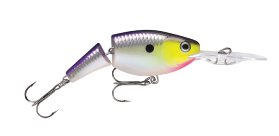 Rapala Jointed Shad Rap 2" Fishing Lure for Freshwater with Treble Hooks