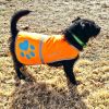 Reflective Dog Vest S Size Hi Visibility Fluorescent Blaze Orange Dog Vest Helps Protect Your PUP from Motorists & Hunting Accidents On or Off Leash